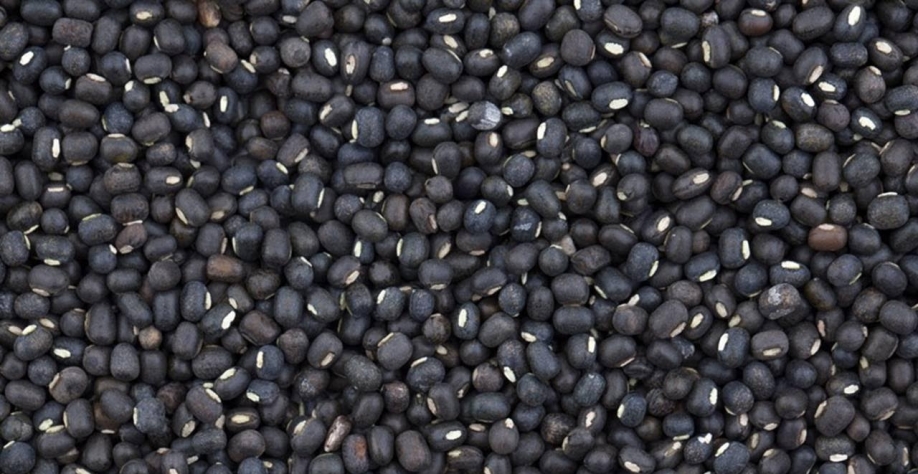 Brasil pode exportar até 40% a mais de feijão para a Índia