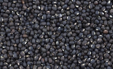 Brasil pode exportar até 40% a mais de feijão para a Índia