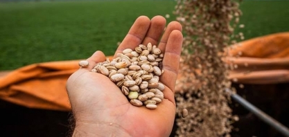 Valor Bruto da Produção agropecuária recuou 3,62% em janeiro