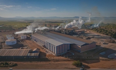  Jalles Machado reverte prejuízo e registra lucro no 3º trimestre