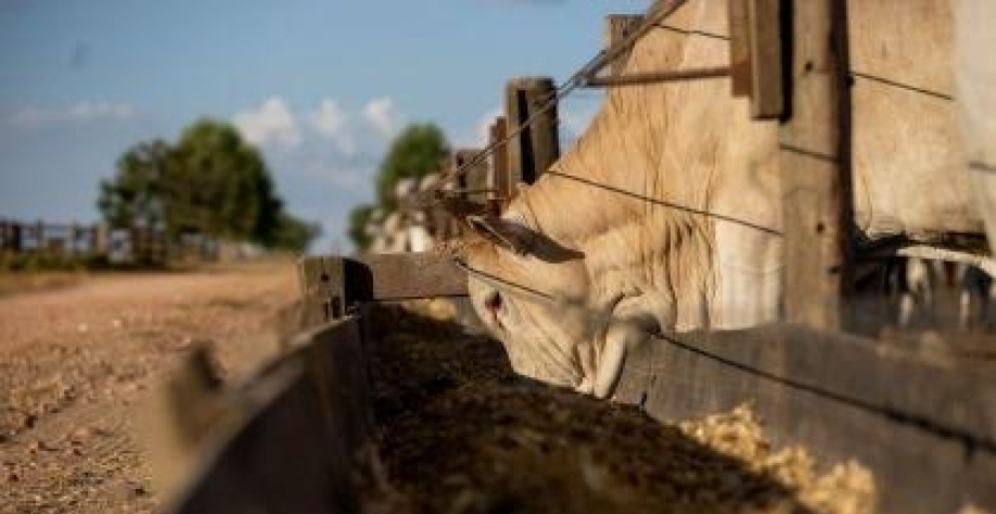 Governo zera tarifas de insumos e reforça defesa comercial para o agro