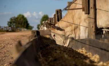 Governo zera tarifas de insumos e reforça defesa comercial para o agro