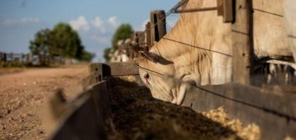 Governo zera tarifas de insumos e reforça defesa comercial para o agro