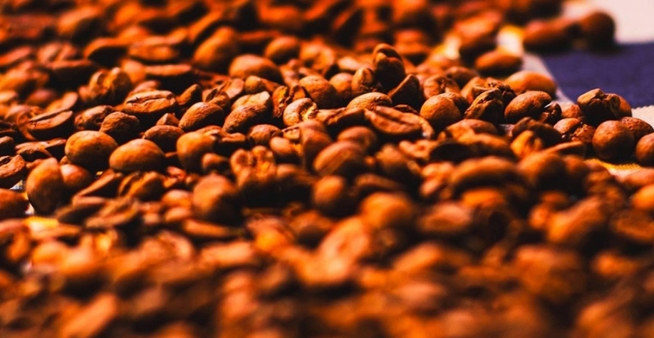 Brasil deve colher safra recorde de café em 2026, diz Conab