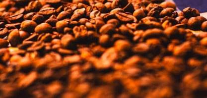 Brasil deve colher safra recorde de café em 2026, diz Conab