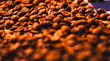 Brasil deve colher safra recorde de café em 2026, diz Conab