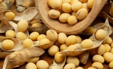 Soja atinge maior valor em dois meses em Chicago 