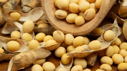 Soja atinge maior valor em dois meses em Chicago 