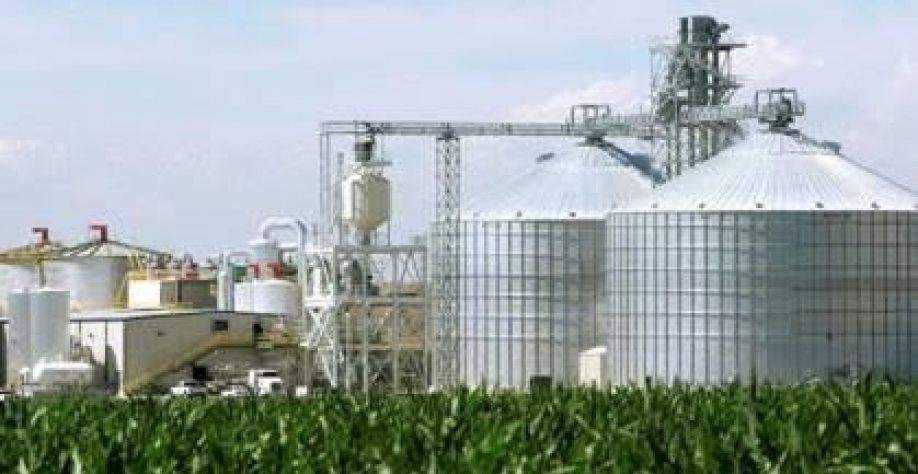 Milho avança e redefine a geografia do etanol brasileiro 