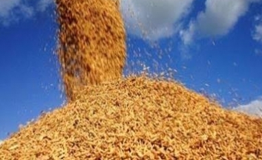 Governo anuncia auxílio de R$ 73,6 milhões a produtores de arroz