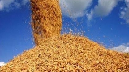 Governo anuncia auxílio de R$ 73,6 milhões a produtores de arroz