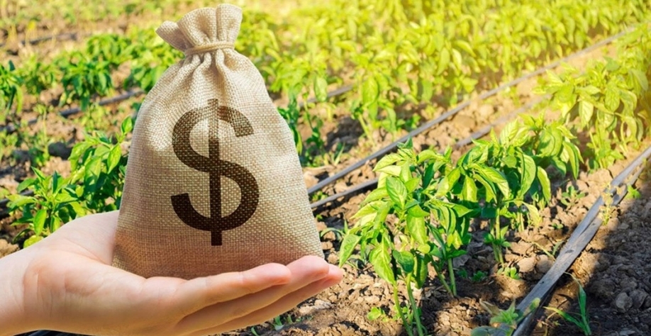 Governo de Goiás promete acabar com 'taxa do agro'