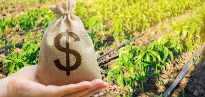 Governo de Goiás promete acabar com 'taxa do agro'