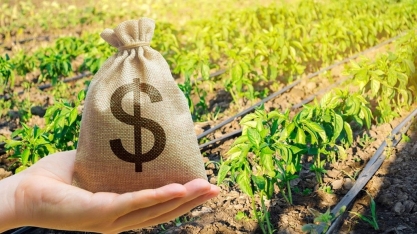 Governo de Goiás promete acabar com 'taxa do agro'