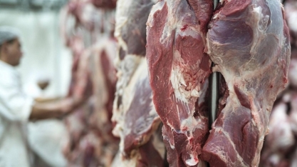 Brasil produziu 11 milhões de toneladas de carne bovina em 2025