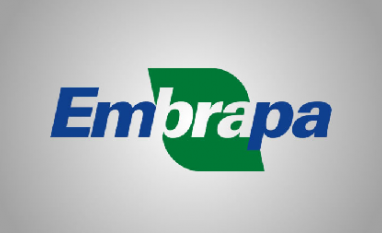 Embrapa diz que Brasil precisa vender tecnologia, além de commodities 