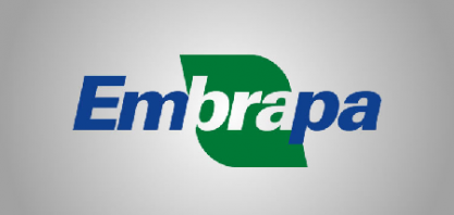 Embrapa diz que Brasil precisa vender tecnologia, além de commodities 