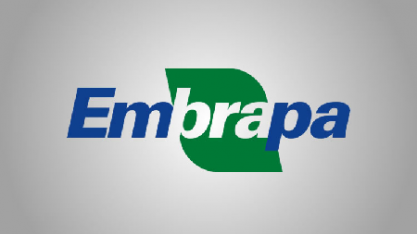 Embrapa diz que Brasil precisa vender tecnologia, além de commodities 