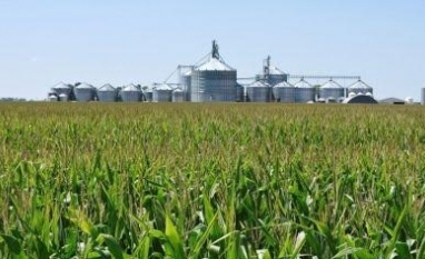 Brasil pode ser protagonista na produção de etanol de milho