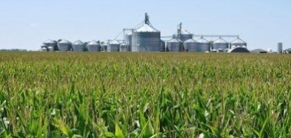 Brasil pode ser protagonista na produção de etanol de milho