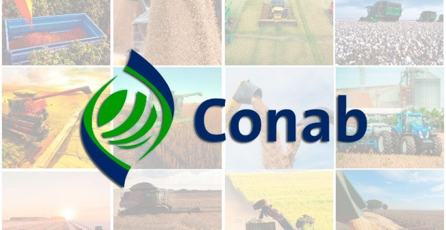 Conab revisa soja para cima e mantém perspectiva de safra recorde de grãos