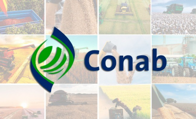 Conab revisa soja para cima e mantém perspectiva de safra recorde de grãos