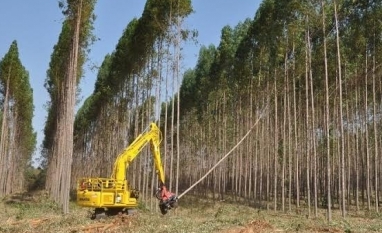 Exportação de celulose cresce, mas setor pode ter desequilíbrio