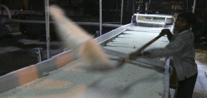 Açúcar: Fixação de preço do Brasil em NY atinge 38%,abaixo do ano anterior