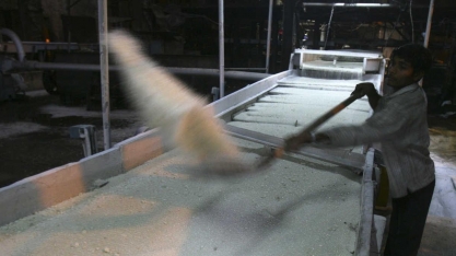 Açúcar: Fixação de preço do Brasil em NY atinge 38%,abaixo do ano anterior