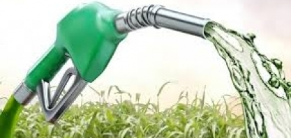 Etanol: Hidratado cai 1,26% e anidro sobe 0,51% na semana nas usinas de SP