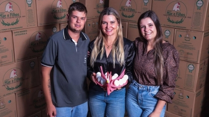 Ovo alcança novo patamar com recordes de produção, consumo e exportação