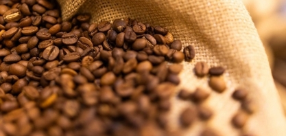 Exportações de café têm queda de 30,8% em janeiro  