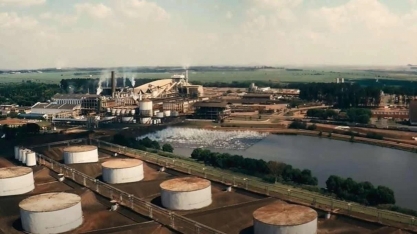 São Martinho tem lucro de R$ 424 mi no 3T26; Ebitda e receita recuam