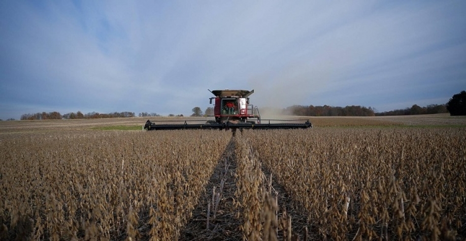 USDA: EUA ampliarão plantio de soja em 2026 e cortarão área de milho