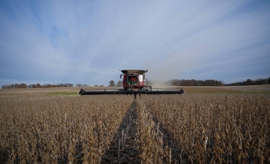 USDA: EUA ampliarão plantio de soja em 2026 e cortarão área de milho