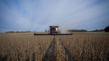 USDA: EUA ampliarão plantio de soja em 2026 e cortarão área de milho