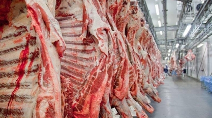 Setor de carne brasileiro tenta abrir mercado na Coreia do Sul