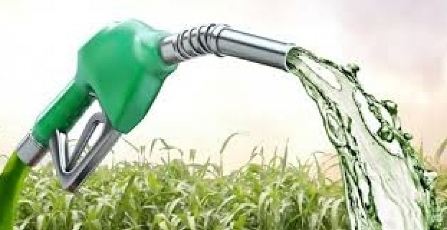 Etanol: Hidratado cai 0,96% e anidro 2,23% na semana nas usinas de SP