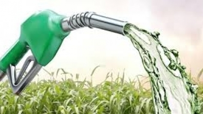 Etanol: Hidratado cai 0,96% e anidro 2,23% na semana nas usinas de SP