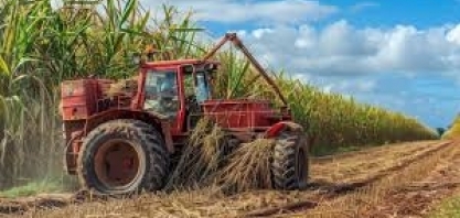 Brasil está a caminho de um aumento na produção de etanol em 2026