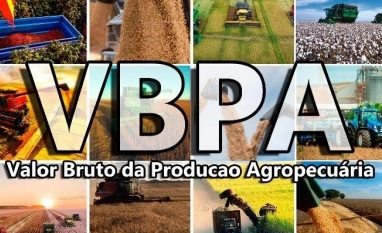 Com preços em queda, valor de produção brasileira cai neste ano