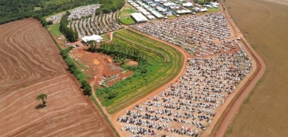 No Show Rural Coopavel, produtor mantém cautela e adia compras