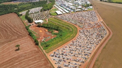 No Show Rural Coopavel, produtor mantém cautela e adia compras