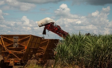 Preços do açúcar e do etanol caem no Estado de São Paulo