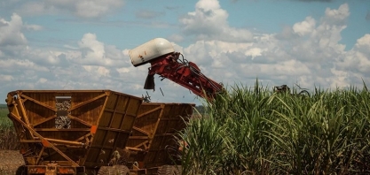 Preços do açúcar e do etanol caem no Estado de São Paulo