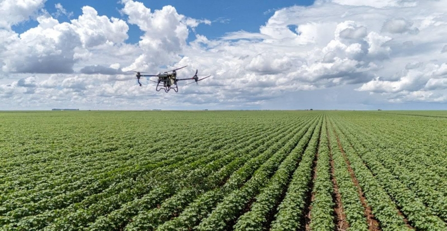 IA ajuda a detectar pragas em lavouras e controlar cabeças de gado