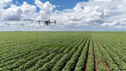 IA ajuda a detectar pragas em lavouras e controlar cabeças de gado