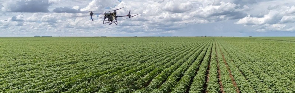 IA ajuda a detectar pragas em lavouras e controlar cabeças de gado