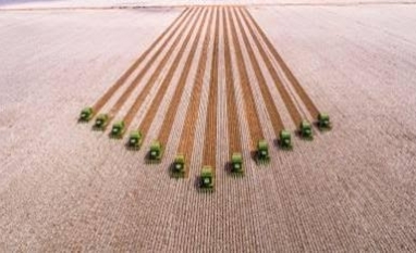 Produção agrícola maior deve fortalecer geração de bioenergia