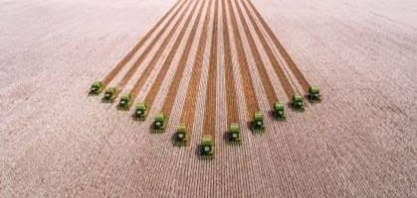 Produção agrícola maior deve fortalecer geração de bioenergia